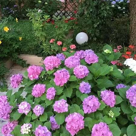 Nel Giardino Di Ester