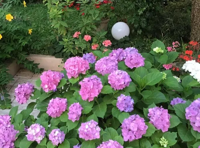 Nel Giardino Di Ester