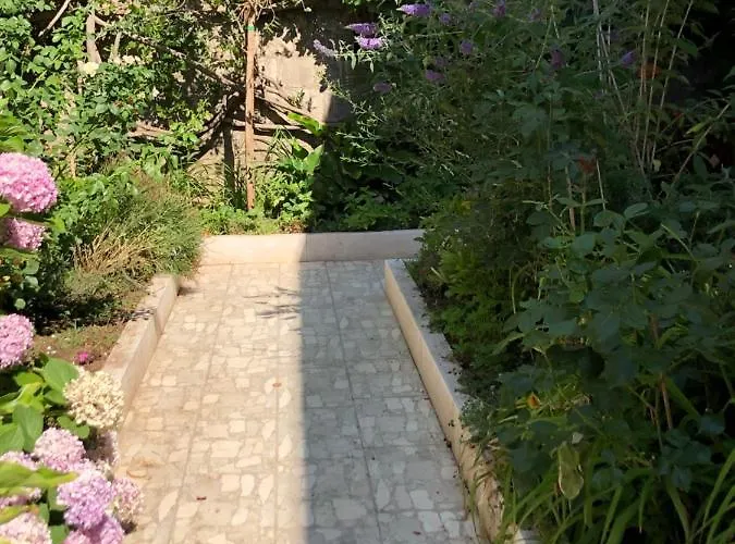 Nel Giardino Di Ester *